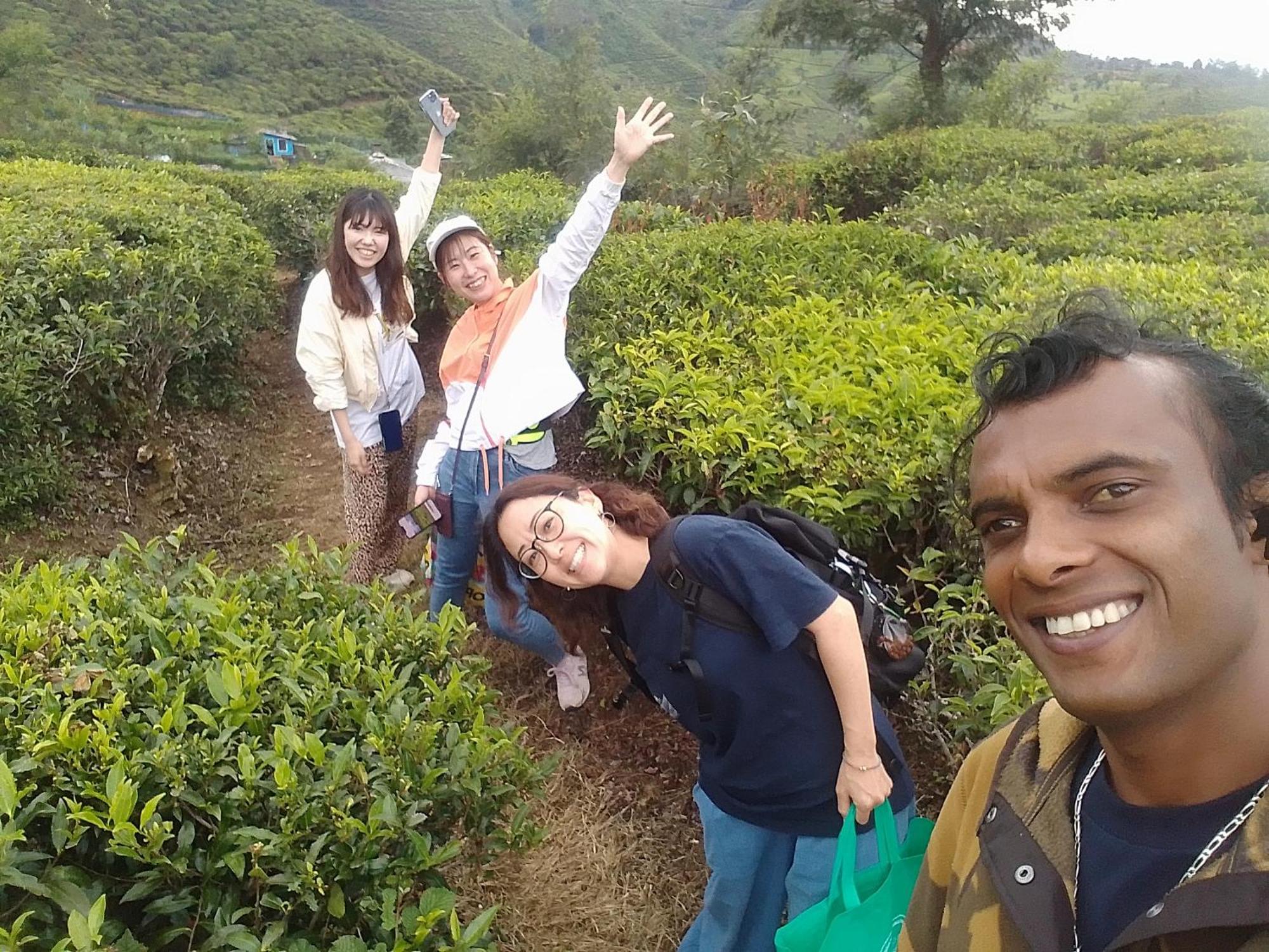 Hikers Inn 努沃勒埃利耶 外观 照片